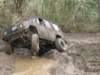 mud201115_small.jpg