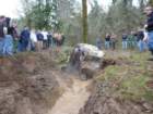 mud2012_br050_small.jpg