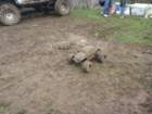 mud2012_br345_small.jpg