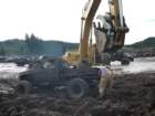 mud2012_br490_small.jpg