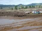 mud2012_br547_small.jpg