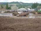 mud2012_br575_small.jpg