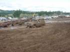 mud2012_br587_small.jpg