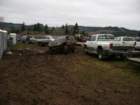 mud2012_randy017_small.jpg