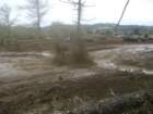 mud2012_randy178_small.jpg